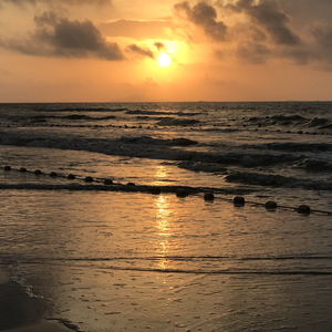 黑人添女人囗交做爰
