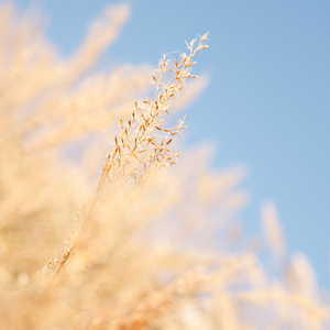 黑人添女人囗交做爰

